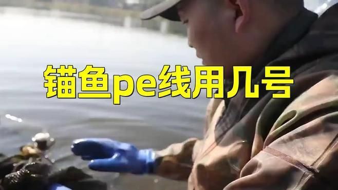 錨魚一般用多粗的PE線