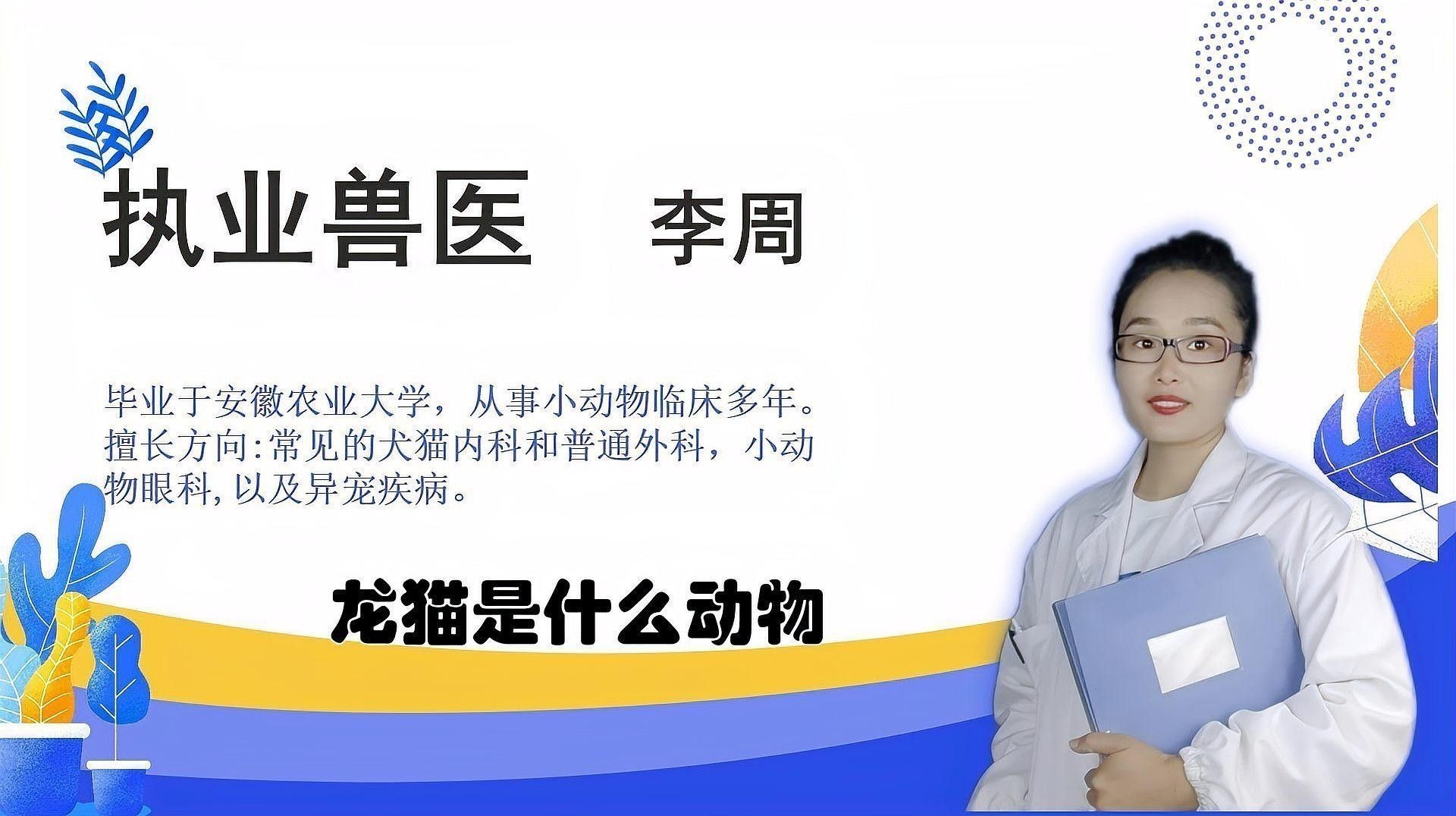 龍貓如何通過記憶生存？