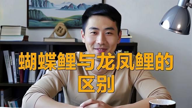 如何區(qū)分不同品種的龍鳳魚？