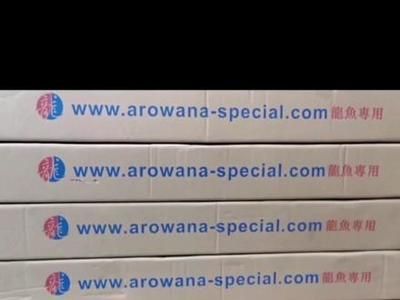 龍魚發(fā)色激素高：如何通過環(huán)境調(diào)控促進龍魚發(fā)色 龍魚發(fā)色激素高：如何通過環(huán)境調(diào)控促進龍魚發(fā)色 龍魚百科 第2張