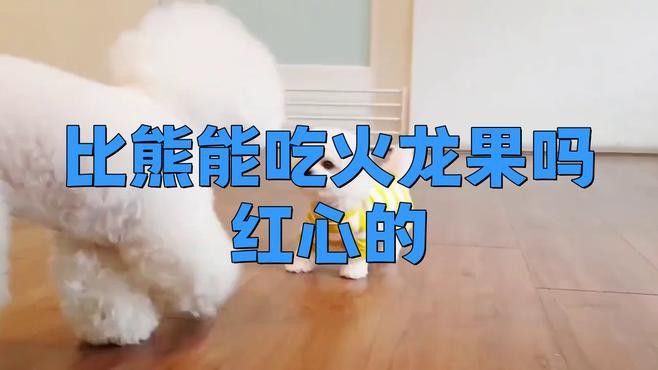 紅心火龍果對動物有哪些影響？ 紅心火龍果對動物有哪些影響？ 龍魚百科 第1張
