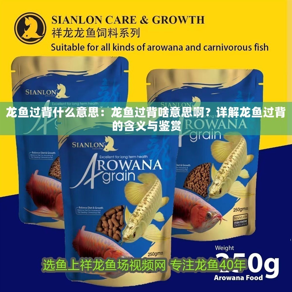 龍魚過背什么意思：龍魚過背啥意思啊？詳解龍魚過背的含義與鑒賞