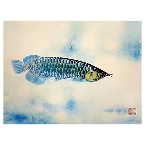 賣金龍魚好嗎，金龍魚是一種受歡迎的觀賞魚
