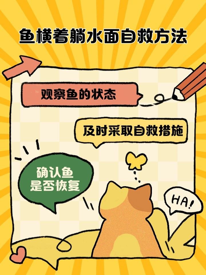 龍魚橫著漂浮在水面上怎么辦呢