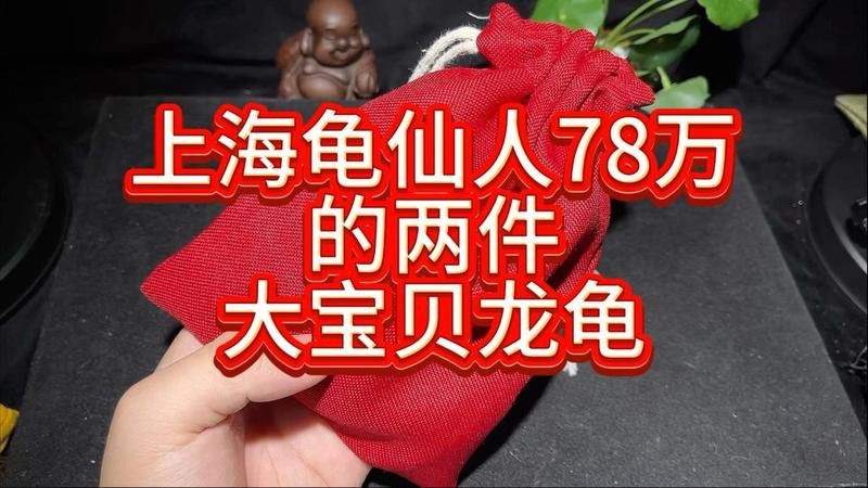 龍龜圖片價格范圍是多少？