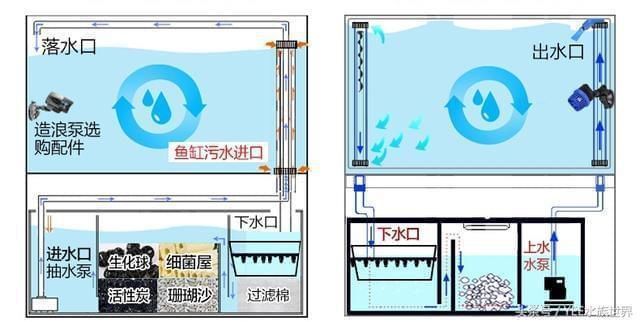 怎樣的魚(yú)缸不用換水呢（如何控制魚(yú)缸內(nèi)生物數(shù)量生態(tài)魚(yú)缸過(guò)濾系統(tǒng)的選購(gòu)）