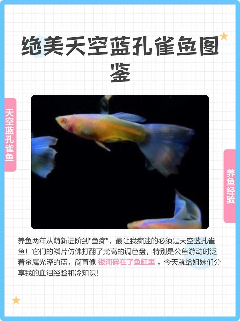 有哪些稀有品種的孔雀龍魚？