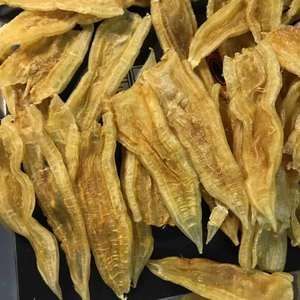 紅龍魚多久換水一次最佳：關于紅龍魚換水頻率的最佳實踐