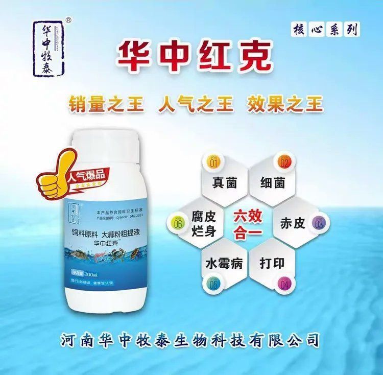賽級古典龍魚最忌三種食物
