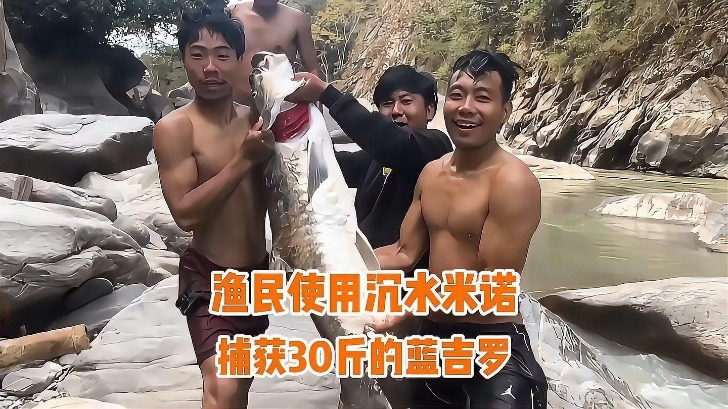 吉羅缸和龍魚缸哪個更費錢？