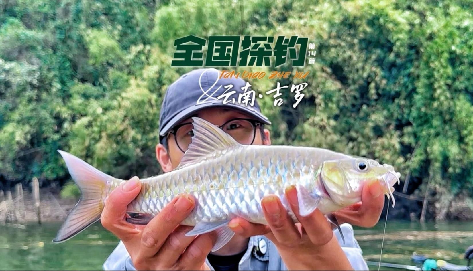 吉羅缸和龍魚缸哪個更費錢？
