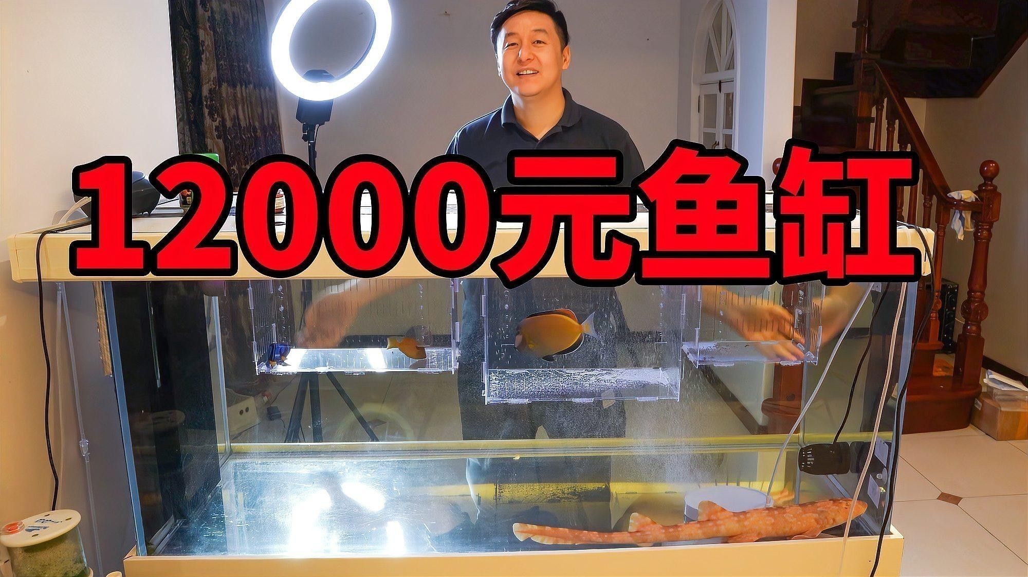 如何判斷紅龍海水魚是否健康？ 如何判斷紅龍海水魚是否健康？ 龍魚百科 第3張