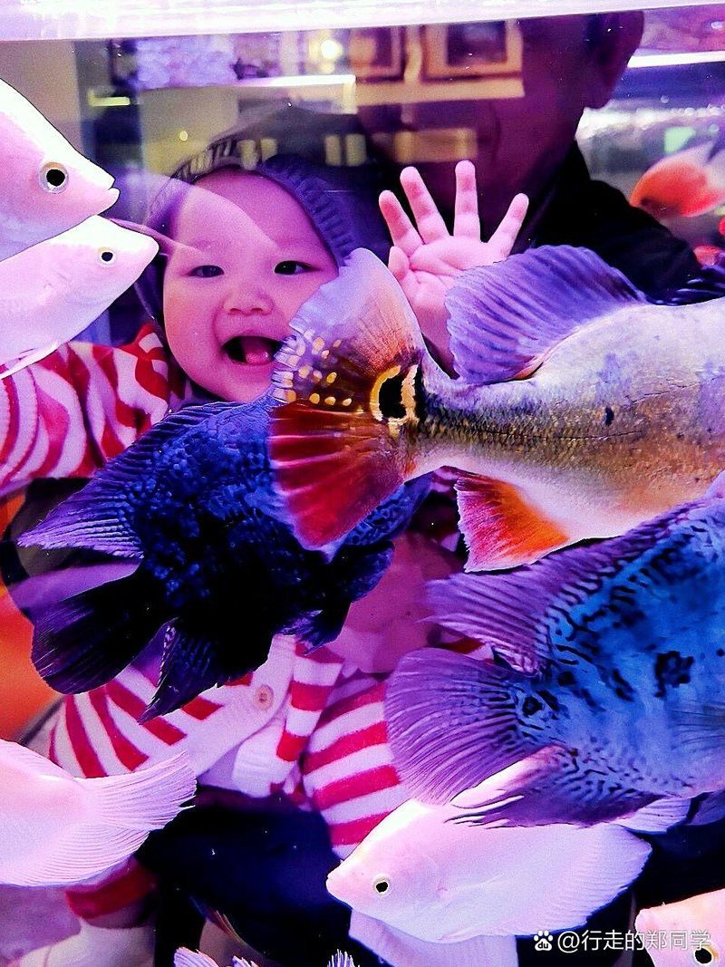 昆明龍魚市場營業時間表圖片
