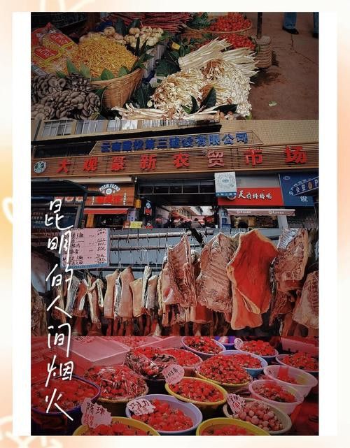 昆明龍魚市場營業時間表圖片