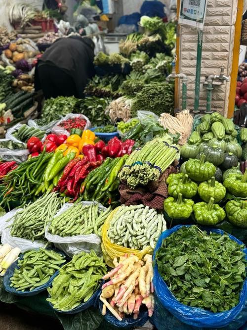 昆明龍魚市場營業時間表圖片