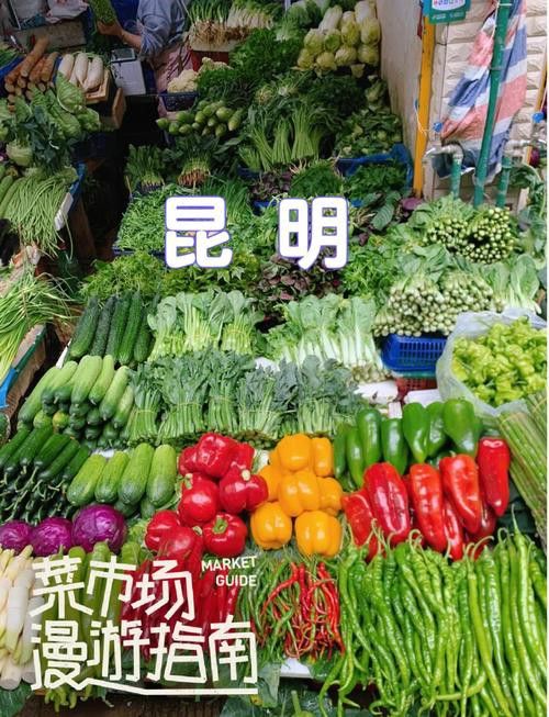 昆明龍魚市場營業時間表圖片