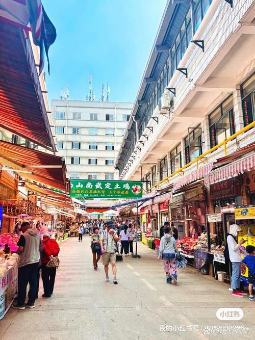昆明龍魚市場營業時間表圖片