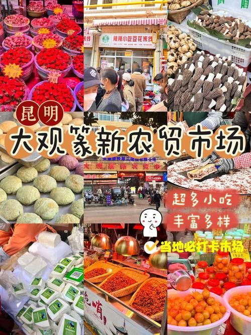 昆明龍魚市場營業時間表圖片