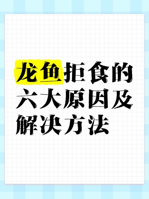 龍魚不吃食的幾種原因圖片大全