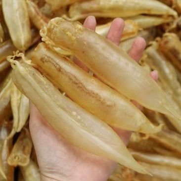 大金龍魚膠,1斤4頭,一斤多少錢 大金龍魚膠,1斤4頭,一斤多少錢 龍魚百科 第4張