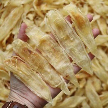 大金龍魚膠,1斤4頭,一斤多少錢 大金龍魚膠,1斤4頭,一斤多少錢 龍魚百科 第5張