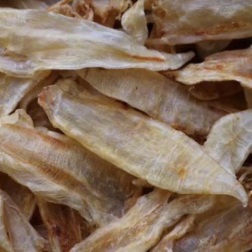 大金龍魚膠,1斤4頭,一斤多少錢 大金龍魚膠,1斤4頭,一斤多少錢 龍魚百科 第6張