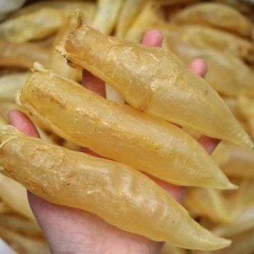 大金龍魚膠,1斤4頭,一斤多少錢 大金龍魚膠,1斤4頭,一斤多少錢 龍魚百科 第3張