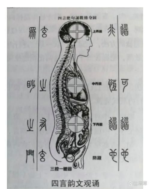 金龍過背的準確位置圖