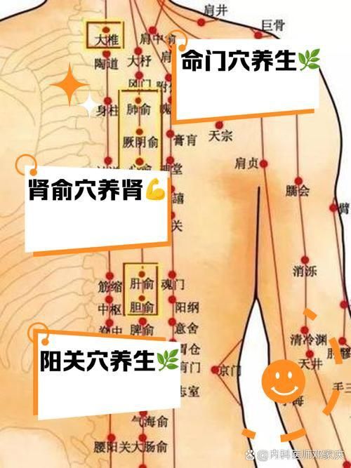 金龍過背的準確位置圖