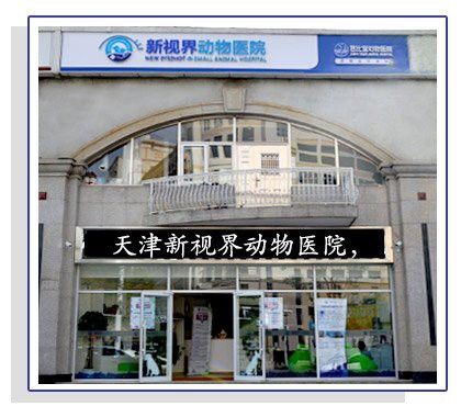 天津龍魚吊眼手術(shù)上門服務(wù)怎么樣啊電話 天津龍魚吊眼手術(shù)上門服務(wù)怎么樣啊電話 龍魚百科 第1張