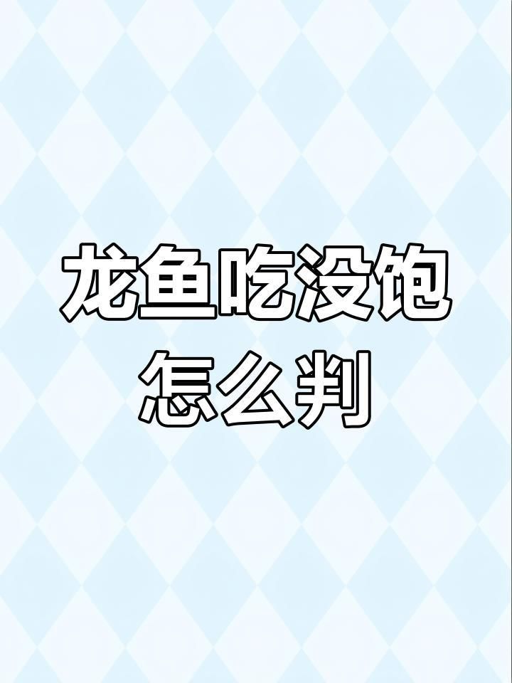 龍魚用什么缸最好：龍魚魚缸品牌推薦,龍魚魚缸尺寸計算方法