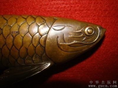 吳山明的國畫金龍魚曾經(jīng)拍出高價:吳山明國畫金龍魚在拍賣會上拍出高價以下是具體拍賣信息 龍魚百科 第2張 吳山明的國畫金龍魚曾經(jīng)拍出高價:吳山明國畫金龍魚在拍賣會上拍出高價以下是具體拍賣信息 吳山明的國畫金龍魚曾經(jīng)拍出高價:吳山明國畫金龍魚在拍賣會上拍出高價以下是具體拍賣信息 龍魚百科 第2張