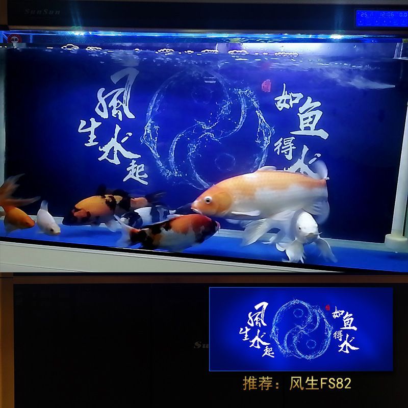 紅龍魚缸寬度：紅龍魚缸的寬度應該保持在60厘米以上，保持在60厘米以上