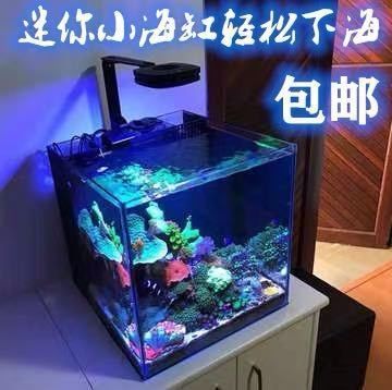 藍昂（LANANG）魚缸（藍昂魚缸隔離盒使用體驗） 藍昂（LANANG）魚缸（藍昂魚缸隔離盒使用體驗） 龍魚百科 第3張