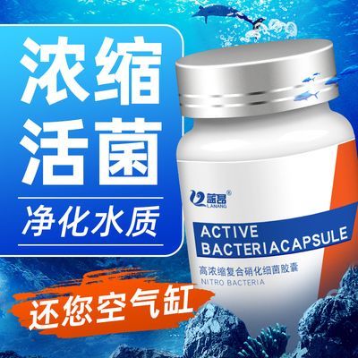 藍昂（LANANG）魚缸（藍昂魚缸隔離盒使用體驗） 藍昂（LANANG）魚缸（藍昂魚缸隔離盒使用體驗） 龍魚百科 第1張