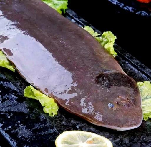 潮汕龍魚圖片高清圖庫 潮汕龍魚圖片高清圖庫 龍魚百科 第13張