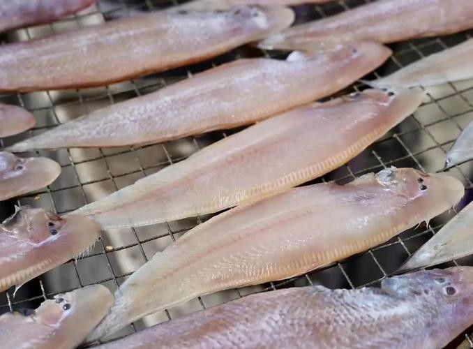 潮汕龍魚圖片高清圖庫 潮汕龍魚圖片高清圖庫 龍魚百科 第15張