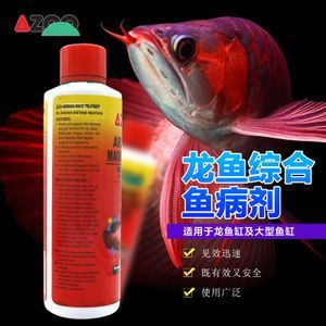 龍魚爛鰭爛尾特效藥（龍魚爛鰭爛尾特效藥治療龍魚爛鰭爛尾的日常護理技巧）