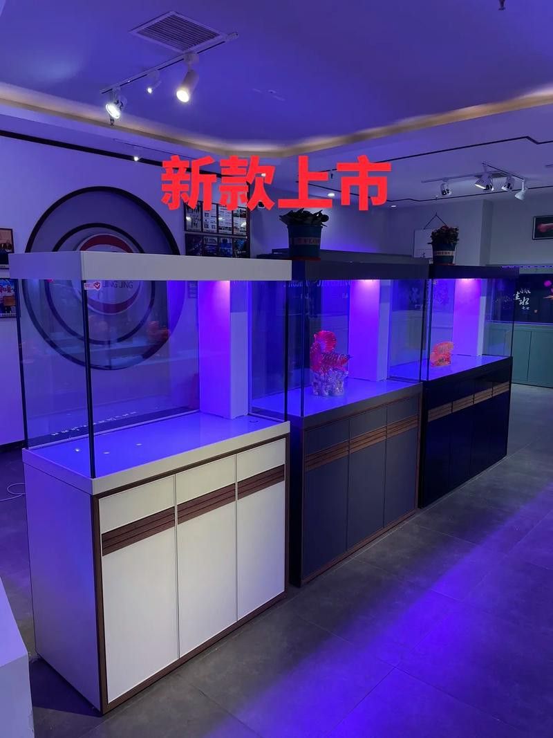 天津西龍魚缸專賣店在哪里啊