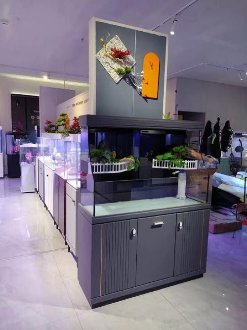 天津西龍魚缸專賣店在哪里啊