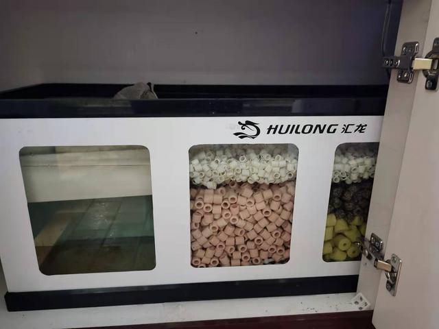 匯龍魚缸下濾安裝圖（“匯龍魚缸下濾安裝圖”查詢官方信息或具體步驟圖解）