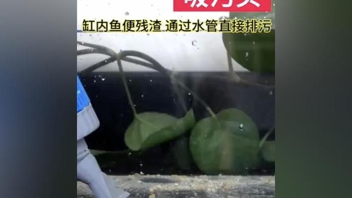 魚缸換水器怎么用視頻教程，如何維護魚缸水質穩定