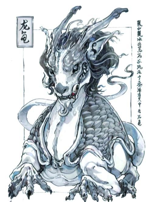 給我推薦一些高質量的龍龜圖片 給我推薦一些高質量的龍龜圖片 龍魚百科 第9張