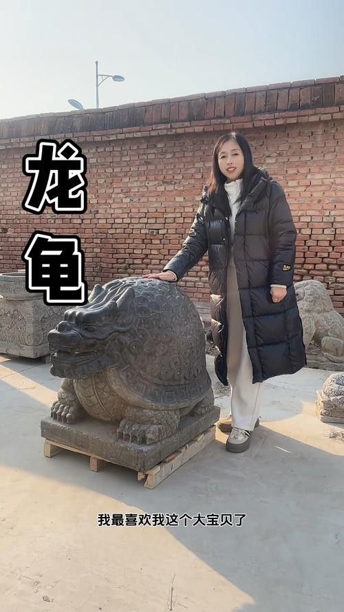 給我推薦一些高質量的龍龜圖片 給我推薦一些高質量的龍龜圖片 龍魚百科 第12張