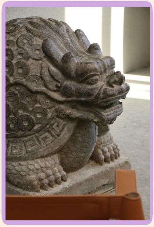 給我推薦一些高質量的龍龜圖片 給我推薦一些高質量的龍龜圖片 龍魚百科 第23張