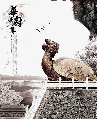 給我推薦一些高質量的龍龜圖片 給我推薦一些高質量的龍龜圖片 龍魚百科 第28張