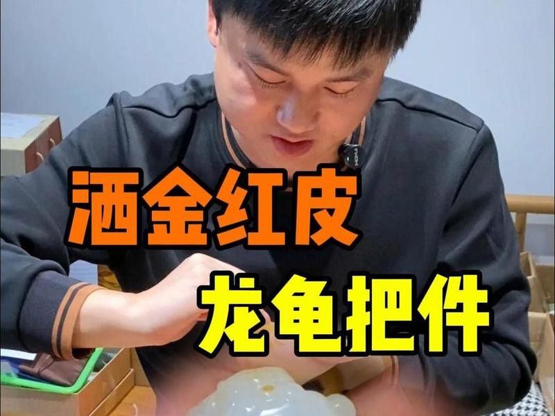 給我推薦一些高質量的龍龜圖片 給我推薦一些高質量的龍龜圖片 龍魚百科 第32張