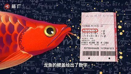 賣龍魚取一個店名字好嗎怎么取，為賣龍魚的店鋪取名的方法 賣龍魚取一個店名字好嗎怎么取，為賣龍魚的店鋪取名的方法 龍魚百科 第1張