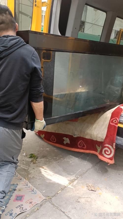 龍魚怎么打包發貨快一點 龍魚百科 第1張 龍魚怎么打包發貨快一點 龍魚怎么打包發貨快一點 龍魚百科 第1張