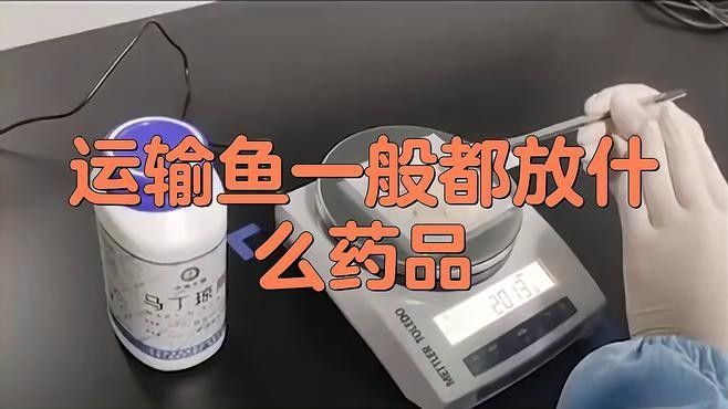 龍魚麻醉運輸方法有哪些 龍魚麻醉運輸方法有哪些 龍魚百科 第1張